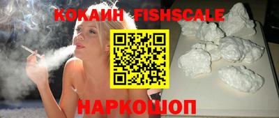 гидра Гатчина