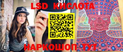 МДПВ Гай