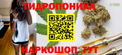 МДПВ Гай