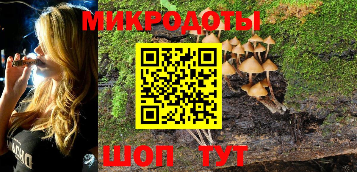 Лениногорск  Псилоцибиновые грибы Psilocybine cubensis  купить наркотик  Вход с VPN  Псилоцибиновые грибы MAGIC MUSHROOMS 